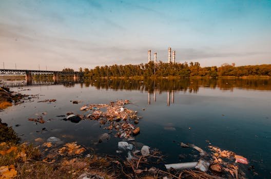 pexels-photo-2480797-2480797 View of pollution on a riverbank with industrial chimneys in the background during sunset.