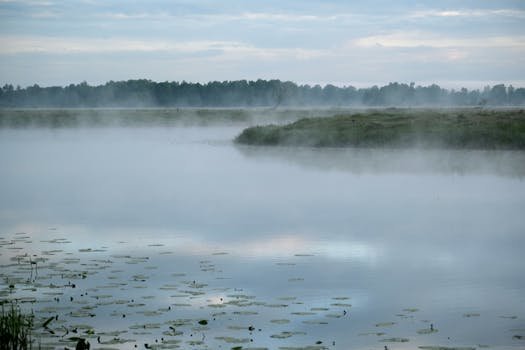 pexels-photo-32292793-32292793 Misty lake landscape with lily pads and distant trees at dawn, evoking tranquility.